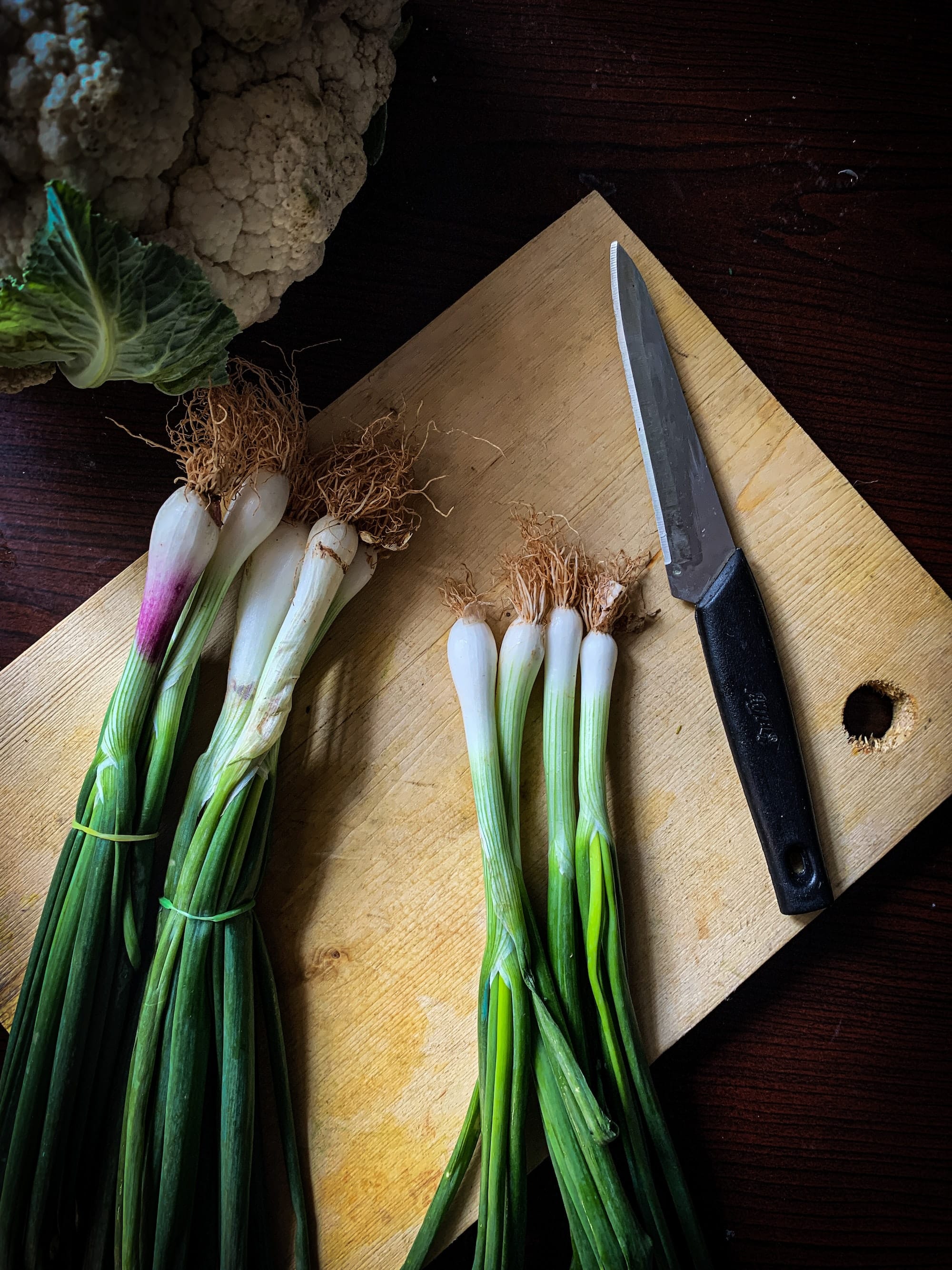Cooking with spring onions