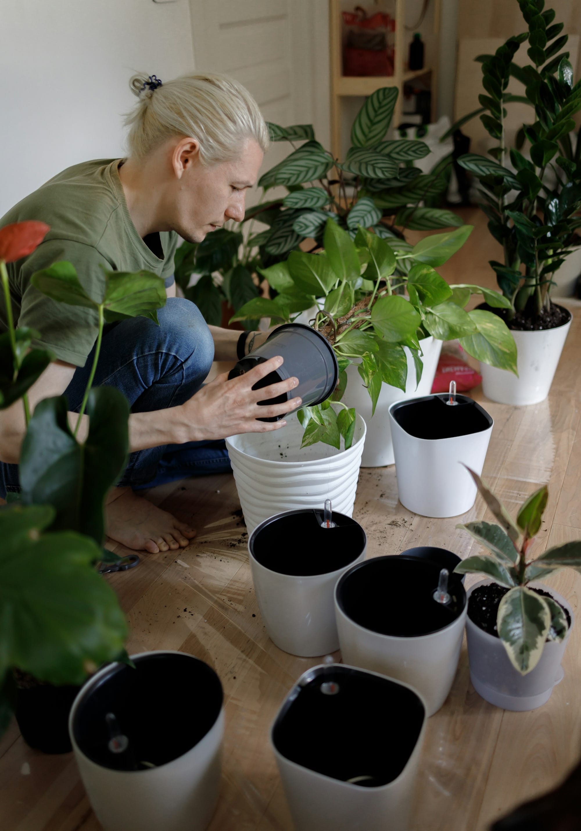 Self-watering pots