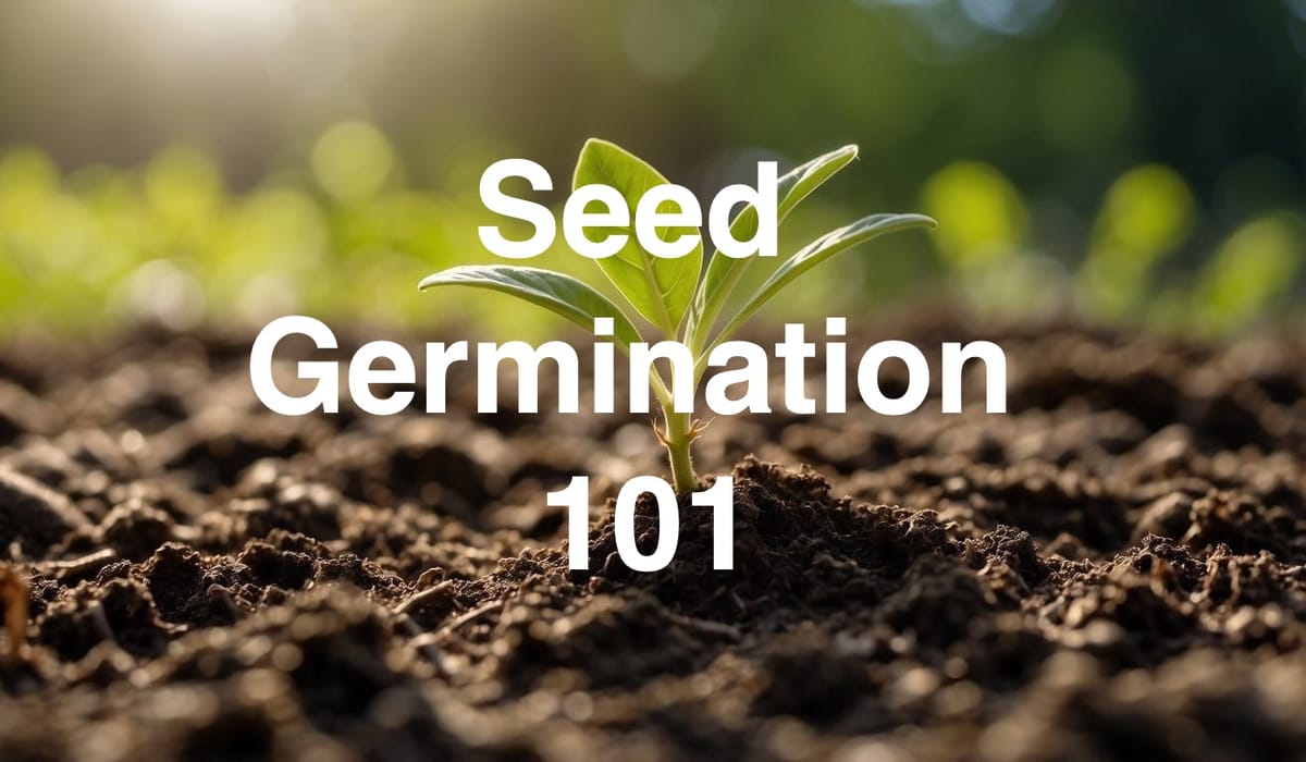 Seed Germination 101
