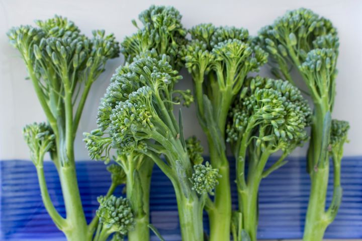 Growing Broccolini